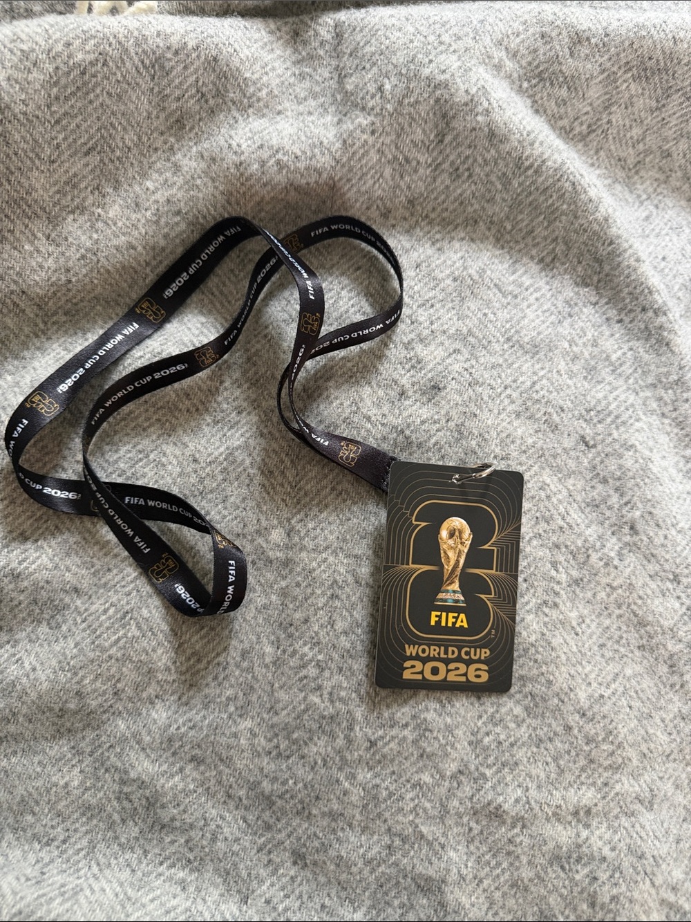 FIFA World Cup Fan ID and Lanyard